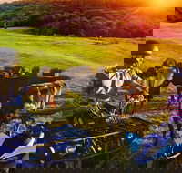ATV Ride with Petting Zoo Experience in Kuranda from Cairns - Redcliffe Tourism