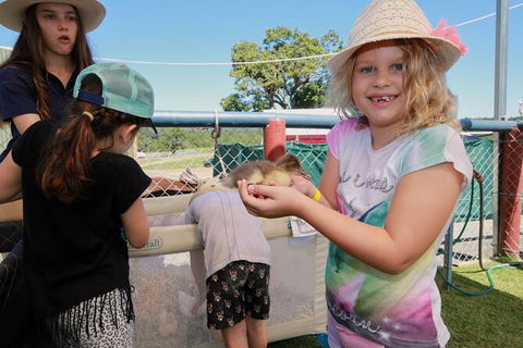 Horse And ATV Riding With A Visit To A Petting Zoo From Cairns - Redcliffe Tourism 2