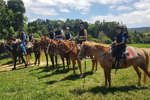Horse And ATV Riding With A Visit To A Petting Zoo From Cairns - Redcliffe Tourism 1