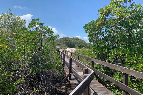 Hinchinbrook Island Tour - Redcliffe Tourism 4