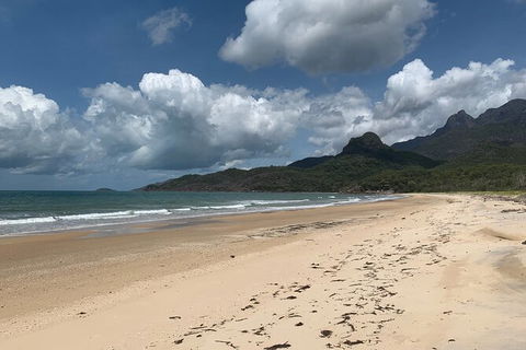 Hinchinbrook Island Tour - Redcliffe Tourism 3