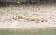 Hinchinbrook Island Tour - thumb 2