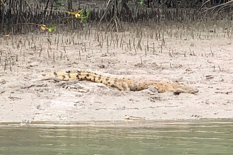Hinchinbrook Island Tour - Redcliffe Tourism 2