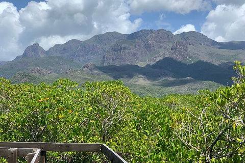 Hinchinbrook Island Tour - Redcliffe Tourism 0