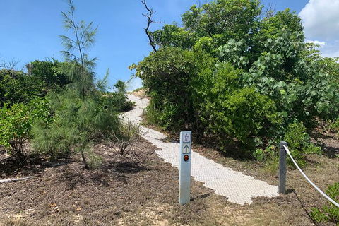 Hinchinbrook Island Tour - Redcliffe Tourism 1