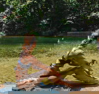 Private Waterfall and Rainforest Day Tour - Redcliffe Tourism