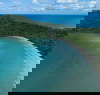 2-Day Great Barrier Reef and Daintree Rainforest Combo Package - Redcliffe Tourism