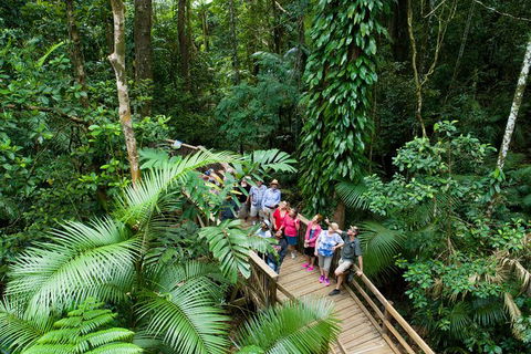 2-Day Great Barrier Reef And Daintree Rainforest Combo Package - Redcliffe Tourism 6