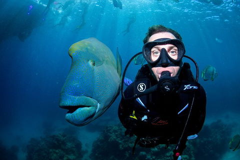 2-Day Great Barrier Reef And Daintree Rainforest Combo Package - Redcliffe Tourism 9