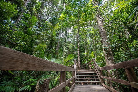 2-Day Great Barrier Reef And Daintree Rainforest Combo Package - Redcliffe Tourism 11