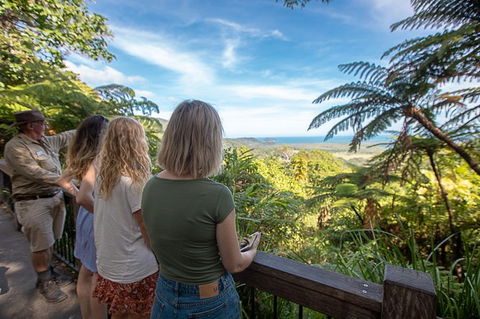 2-Day Great Barrier Reef And Daintree Rainforest Combo Package - Redcliffe Tourism 1