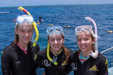 2 Day Reef & Rainforest Adventure - Redcliffe Tourism 4