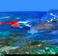 2 Day Reef  Rainforest Adventure - Redcliffe Tourism