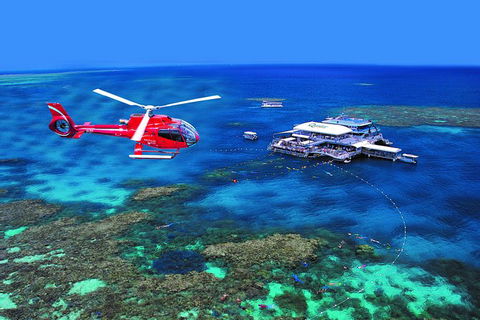 2 Day Reef & Rainforest Adventure - Redcliffe Tourism 0