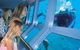 2 Day Reef & Rainforest Adventure - thumb 5