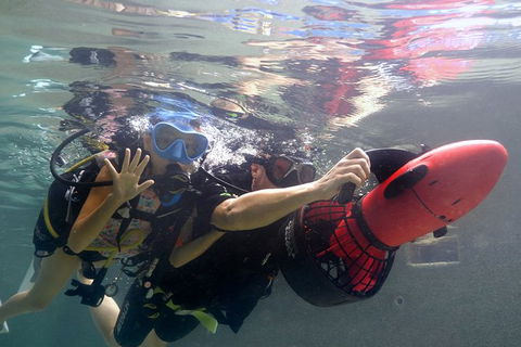 Scuba Kids- Padi Bubblemaker Course - Redcliffe Tourism 2