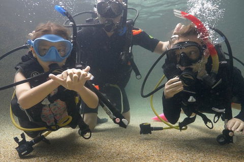 Scuba Kids- Padi Bubblemaker Course - Redcliffe Tourism 4