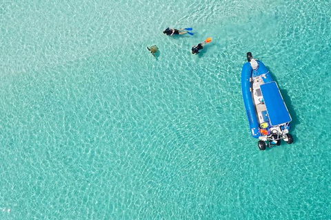 Remote Fraser Island & Whale Experience - Redcliffe Tourism 0