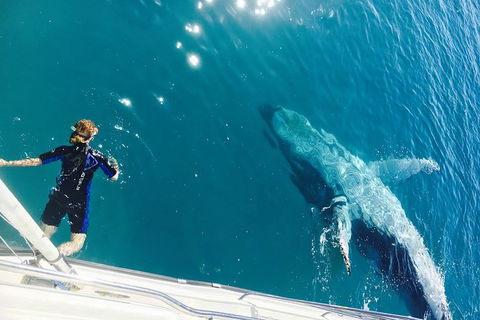 Remote Fraser Island & Whale Experience - Redcliffe Tourism 4