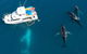 Remote Fraser Island & Whale Experience - thumb 3