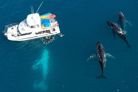Remote Fraser Island & Whale Experience - Redcliffe Tourism 3