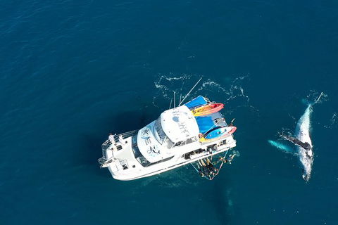 Remote Fraser Island & Whale Experience - Redcliffe Tourism 1