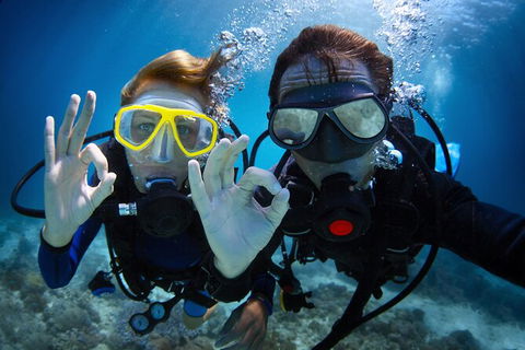 2 Night Whitsunday Islands Cruise On Atlantic Clipper From Airlie Beach - Redcliffe Tourism 4