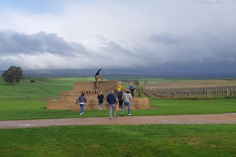 Private Wine Tour - Redcliffe Tourism 4
