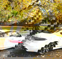 Luxury Jaguar Barossa Valley Half Day Private Tour For 2 - Redcliffe Tourism