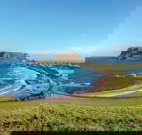 Cruise Ship Special from Burnie to Stanley and The Nut - Redcliffe Tourism