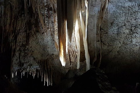 Shore Excursion: Coast, Caves And Wildlife Park - 8 Hour Tour - Redcliffe Tourism 10