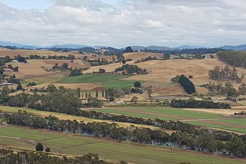 Shore Excursion: Coast, Caves And Wildlife Park - 8 Hour Tour - Redcliffe Tourism 4