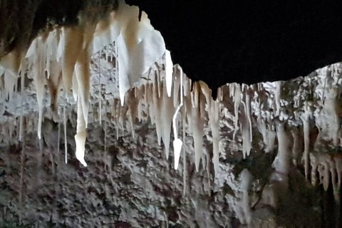 Shore Excursion: Coast, Caves And Wildlife Park - 8 Hour Tour - Redcliffe Tourism 21