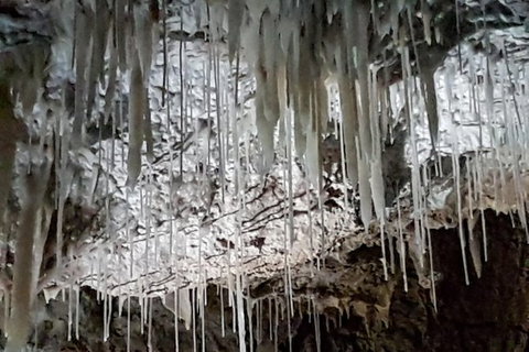 Shore Excursion: Coast, Caves And Wildlife Park - 8 Hour Tour - Redcliffe Tourism 15