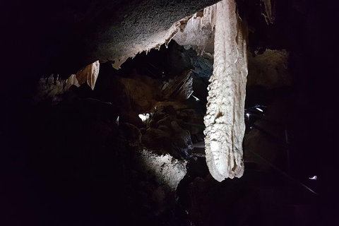 Shore Excursion: Coast, Caves And Wildlife Park - 8 Hour Tour - Redcliffe Tourism 12