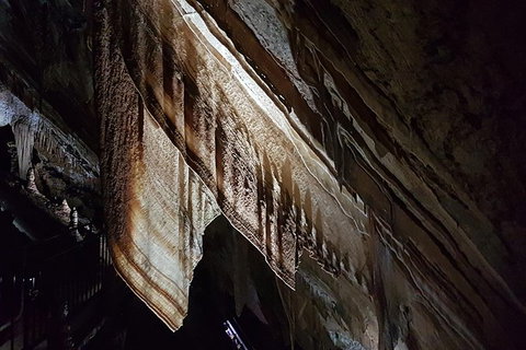 Shore Excursion: Coast, Caves And Wildlife Park - 8 Hour Tour - Redcliffe Tourism 20