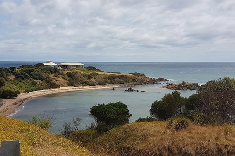 Shore Excursion: Coast, Caves And Wildlife Park - 8 Hour Tour - Redcliffe Tourism 0