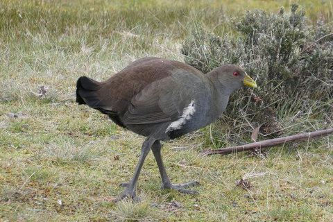 Shore Excursion: Coast, Caves And Wildlife Park - 8 Hour Tour - Redcliffe Tourism 2