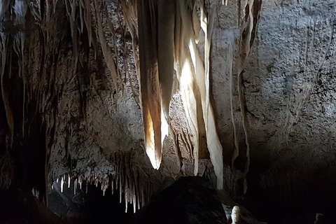 Shore Excursion: Coast, Caves And Wildlife Park - 8 Hour Tour - Redcliffe Tourism 7