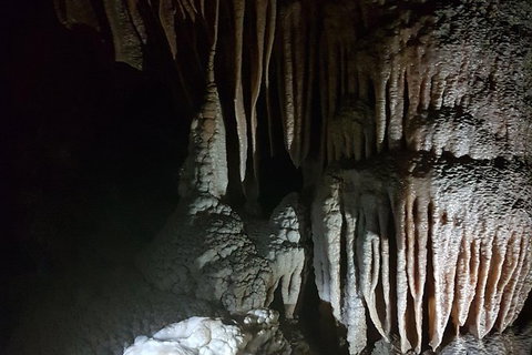 Shore Excursion: Coast, Caves And Wildlife Park - 8 Hour Tour - Redcliffe Tourism 8