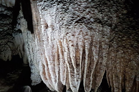 Shore Excursion: Coast, Caves And Wildlife Park - 8 Hour Tour - Redcliffe Tourism 13