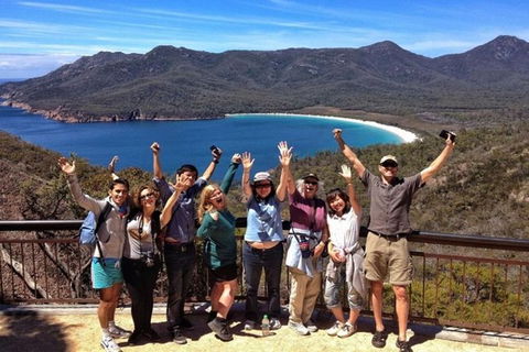 Half-Day Tour To Wineglass Bay From Launceston With Guide - Redcliffe Tourism 5