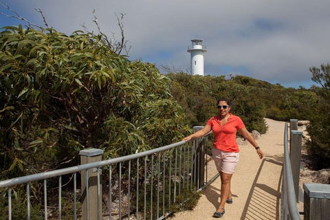 Half-Day Tour To Wineglass Bay From Launceston With Guide - Redcliffe Tourism 2