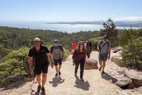 Half-Day Tour To Wineglass Bay From Launceston With Guide - Redcliffe Tourism 4