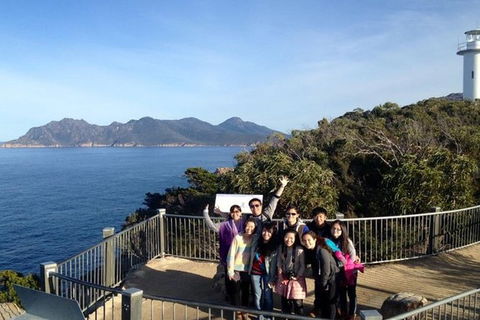 Half-Day Tour To Wineglass Bay From Launceston With Guide - Redcliffe Tourism 3