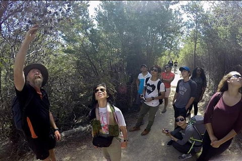 Half-Day Tour To Wineglass Bay From Launceston With Guide - Redcliffe Tourism 1