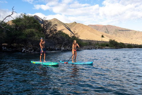 Stand Up Paddle Boarding Hire - Redcliffe Tourism 2
