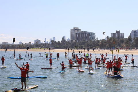 Stand Up Paddle Boarding Hire - Redcliffe Tourism 5