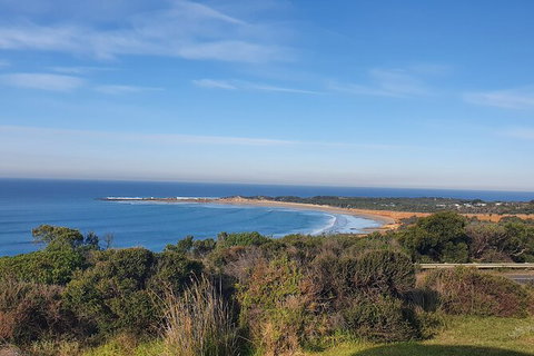 Private Great Ocean Road And Chocolaterie Tour With Tasting - Redcliffe Tourism 5