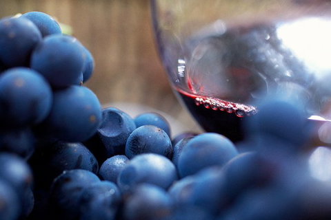 Mornington Peninsula Premium 2-6 Guests Lunch At Merricks General Wine Store - Redcliffe Tourism 7